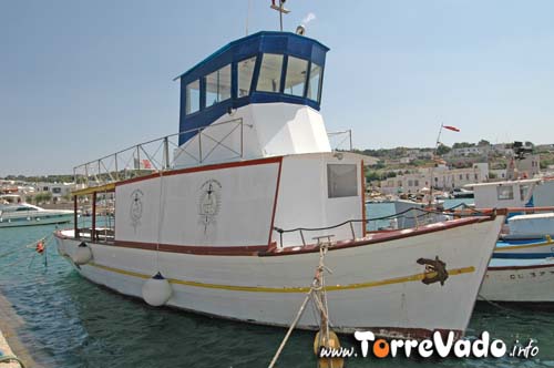 foto Operatori e servizi morciano di leuca, torre vado e morciano di leuca
